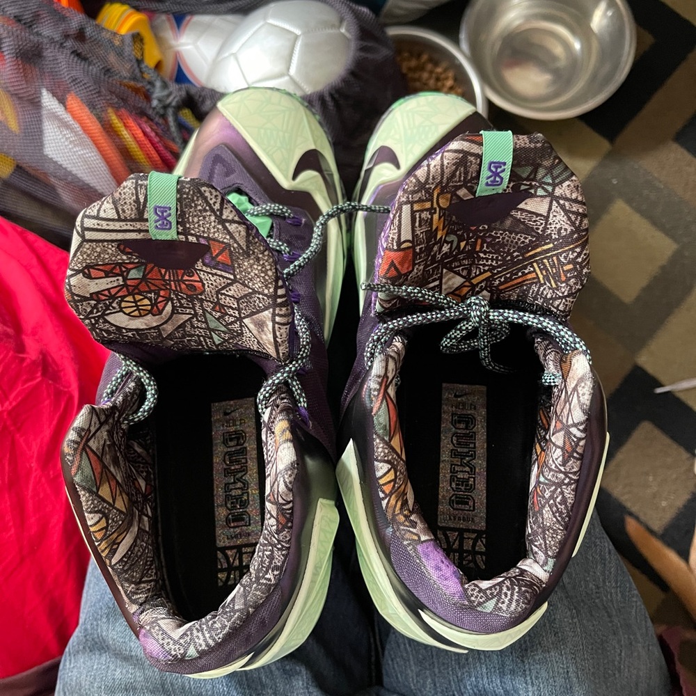 LEBRON 11 GATOR KING